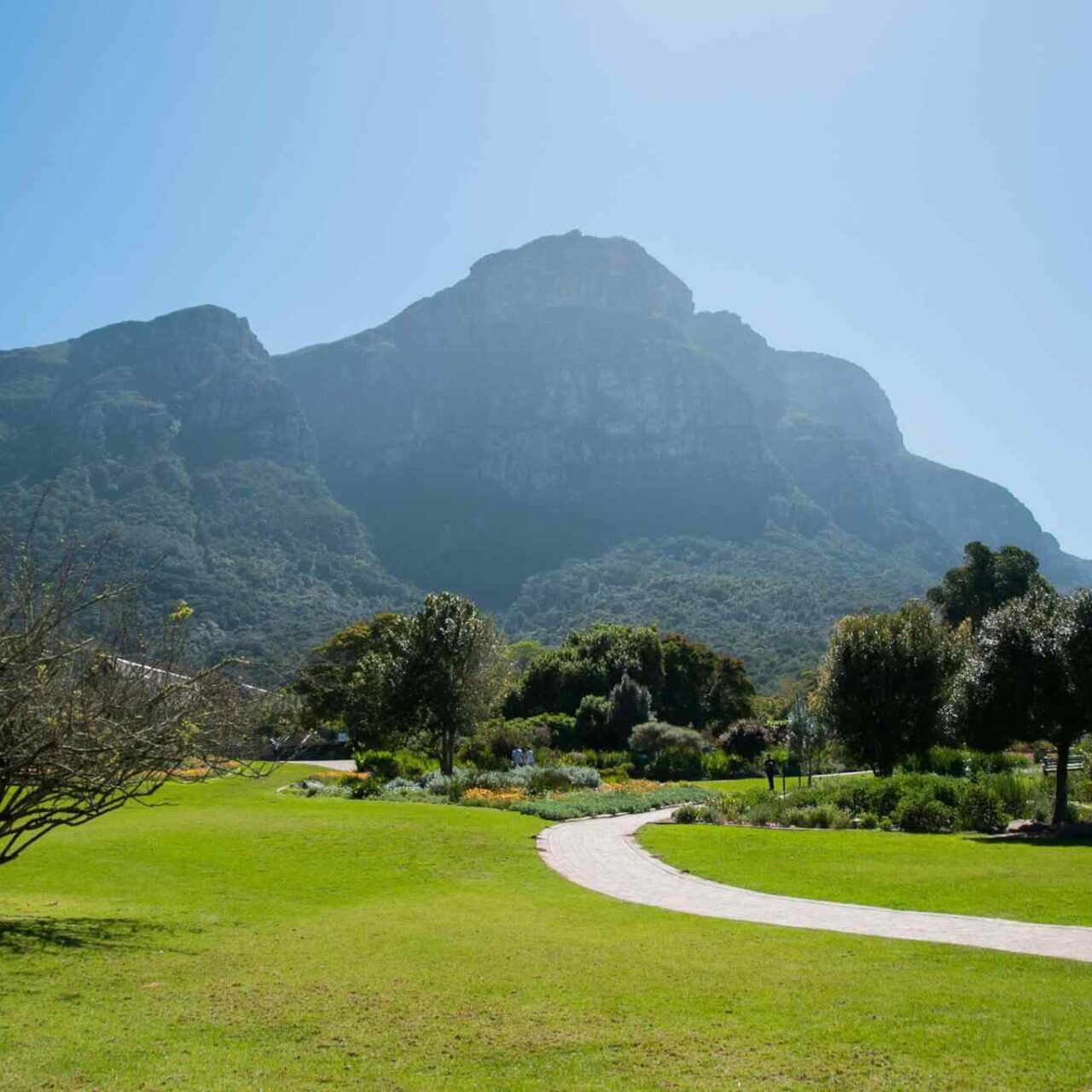 https://en.usb-travel.com/wp-content/uploads/sites/3/2018/09/tour-capetown-03-1280x1280.jpg